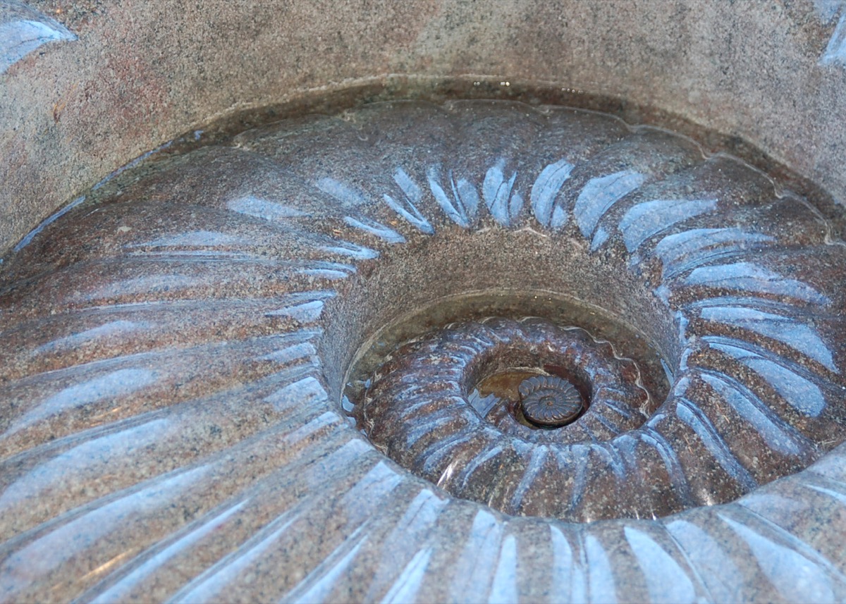 Jim Sardonis - Ammonite Fountain