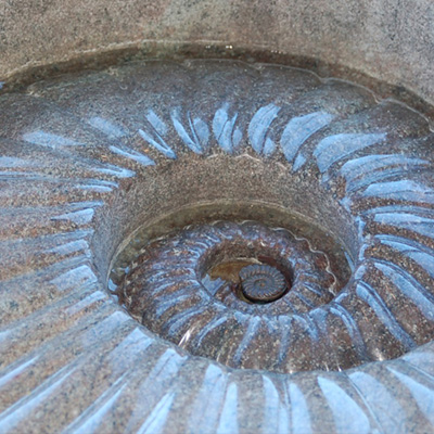 Jim Sardonis - Ammonite Fountain