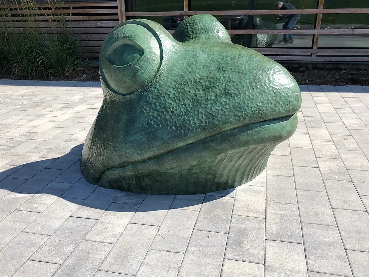 Big Frog