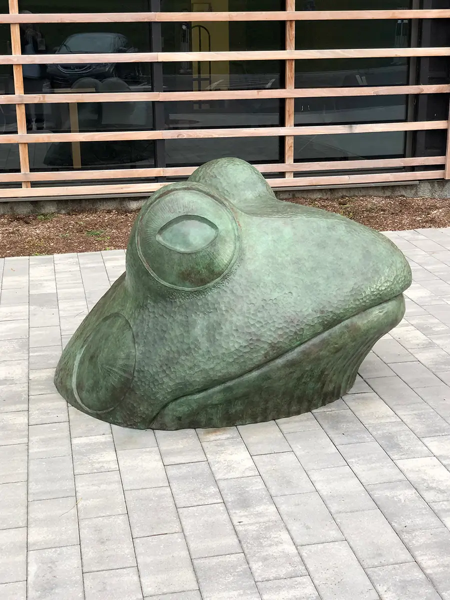 Big Frog, view 2