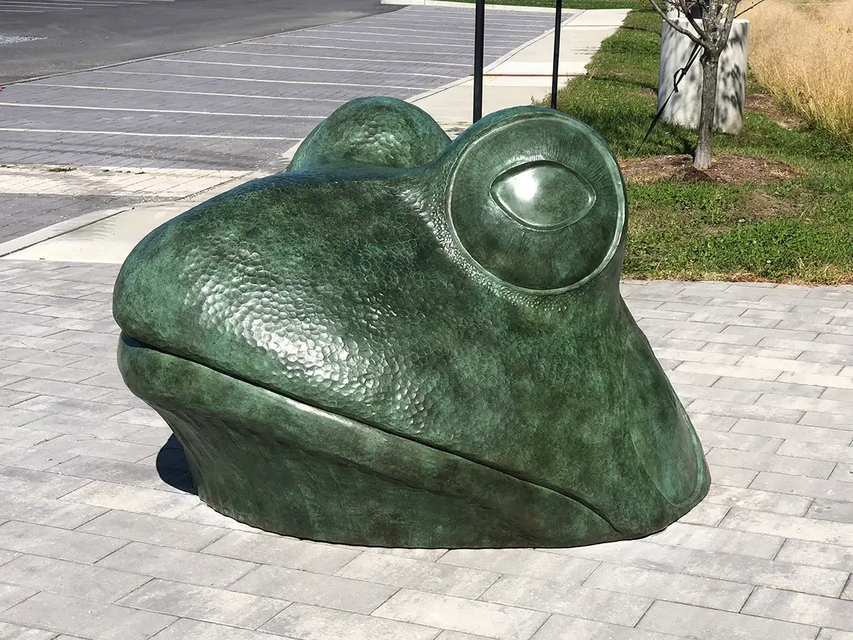 Big Frog, view 4