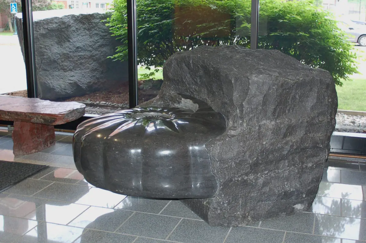 Emerging Ammonite, view 3