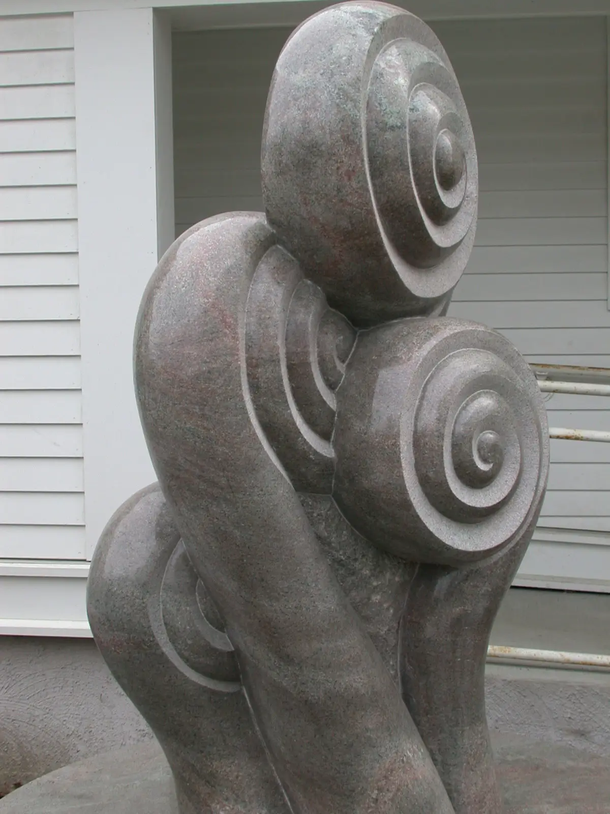 Fiddlehead Family, view 2