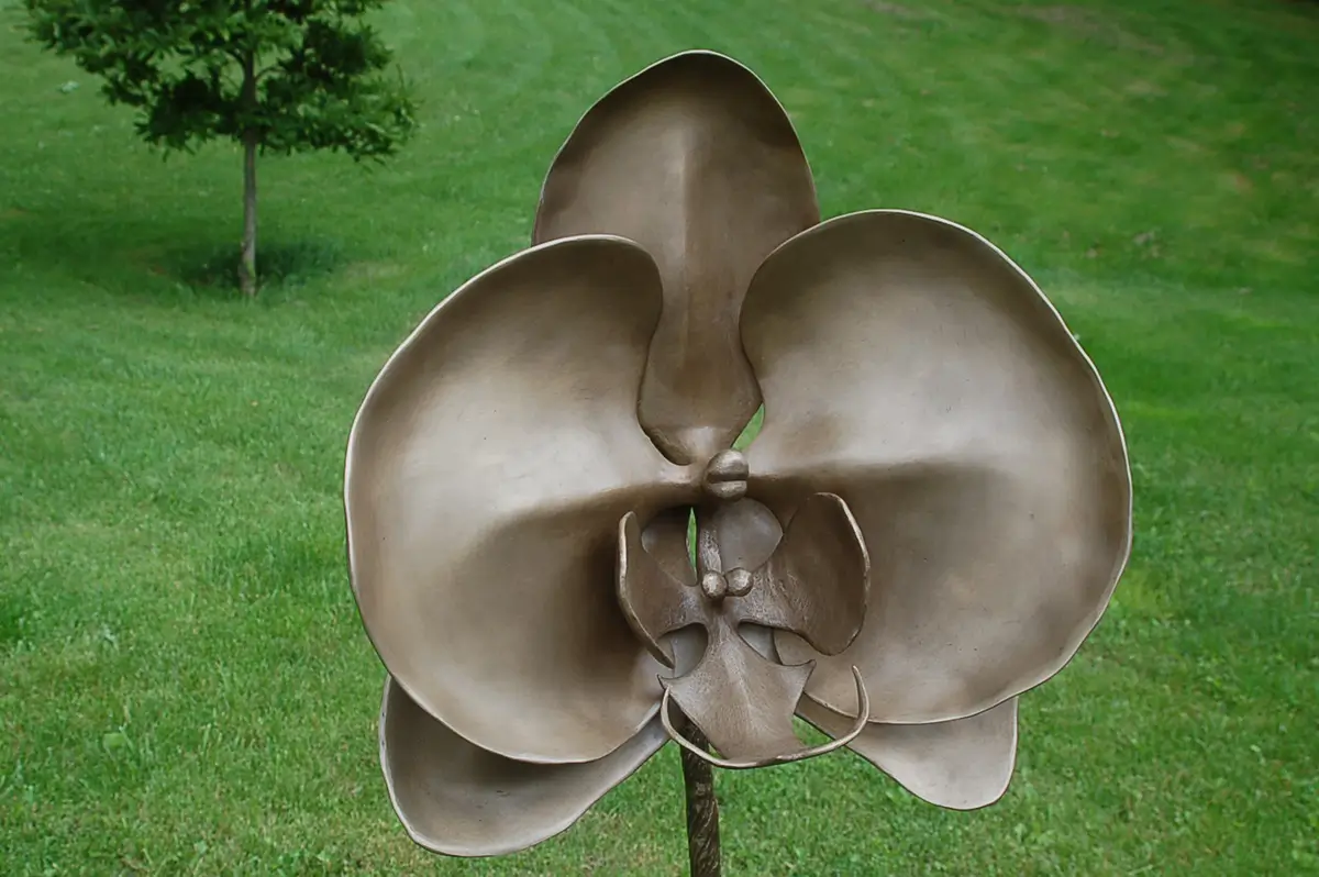 Orchid