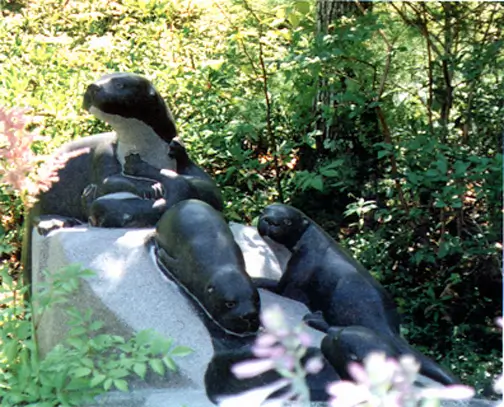 Otters