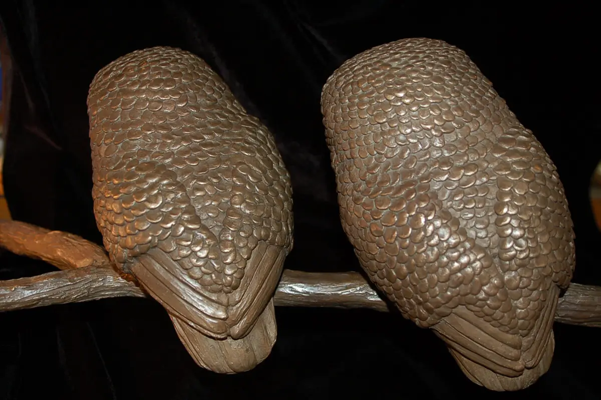 Owl Family, view 5