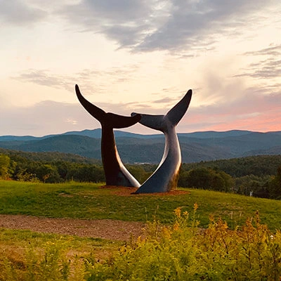 Whale Dance, view 3